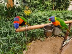 -南宫五洲植物乐园