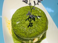 -狐狸和向日葵(北京路店)