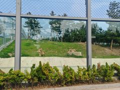 -西霞口神雕山野生动物世界