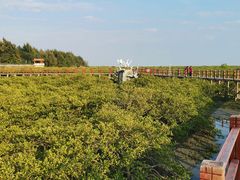 -北海金海湾红树林生态旅游区