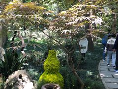 -灵隐飞来峰景区