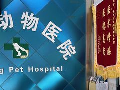 -东方动物医院·宠保定点·骨科·转诊中心(春城路·昆明站分院)