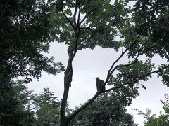 -黔灵山公园