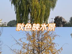 -北湖公园