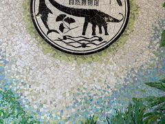 -自然博物馆(地铁站)