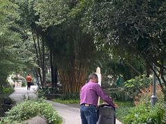 -成都市活水公园