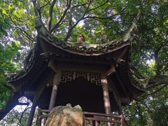 -绮园景区