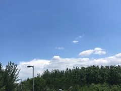 -奥林匹克森林公园南门-停车场