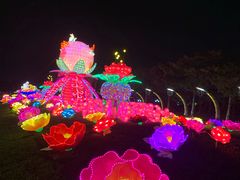 -映月湖公园