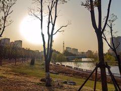 -西海子公园