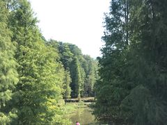 -云溪植物园