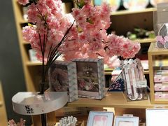 -九木杂物社(恒隆广场店)