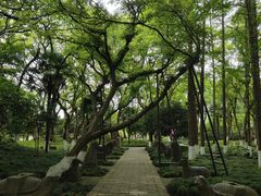 -上海方塔园