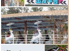 -盈香心动乐园