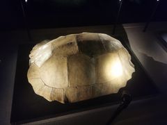 -金沙遗址博物馆