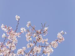 -白塘生态植物园