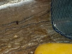 -惠州金海湾嘉华度假酒店