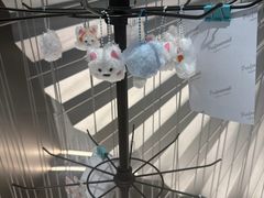 -蛙小侠(柳州万象城店)