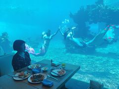 -涛·海底餐厅·美人鱼·自助餐·海底隧道(三亚海棠湾洲际度假酒店)