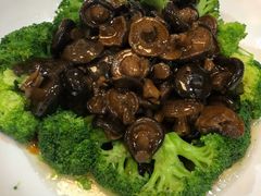 -长春观斋补堂素菜馆