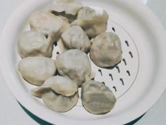 -百饺园(平山道店)