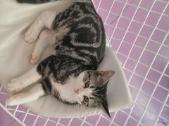 -极木²邸 人与宠物·互动社区