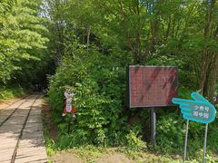 -五营红松林海景区