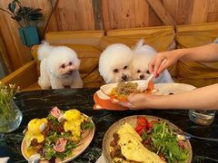 -the rug 飞毯 (朝阳公园店)