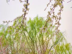-三里河公园