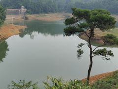 -佛山市三水区大南山森林公园