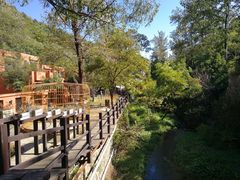 -Local泰莲庭(虹鳟鱼店)