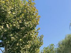 -滨湖塘西河公园