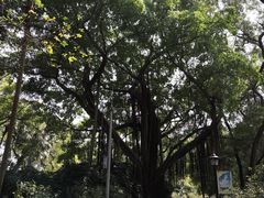 -十九路军淞沪抗日阵亡将士陵园