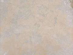 鲩鱼生-联邦酒楼