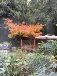 -尚圣月子会所·庄园式月子中心(萧山湘湖店)