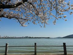 -无锡蠡湖国家湿地公园-蠡园