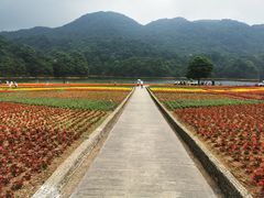 -广州市石门国家森林公园