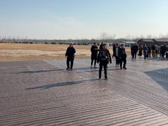 -盐城丹顶鹤湿地生态旅游区