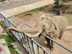 -西霞口神雕山野生动物世界