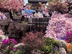 -茅山东方盐湖城景区