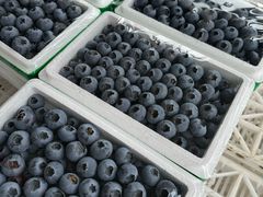 -大连果菜批发市场