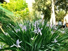 -莲池书院博物馆