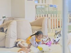 -怪兽屋·羊驼·猫咖·狗咖(俊华广场店)