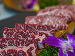 -千寻山野烤肉(中关村店)