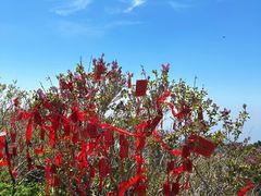 -泰山风景名胜区