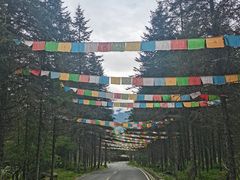 -硗碛藏寨·神木垒景区