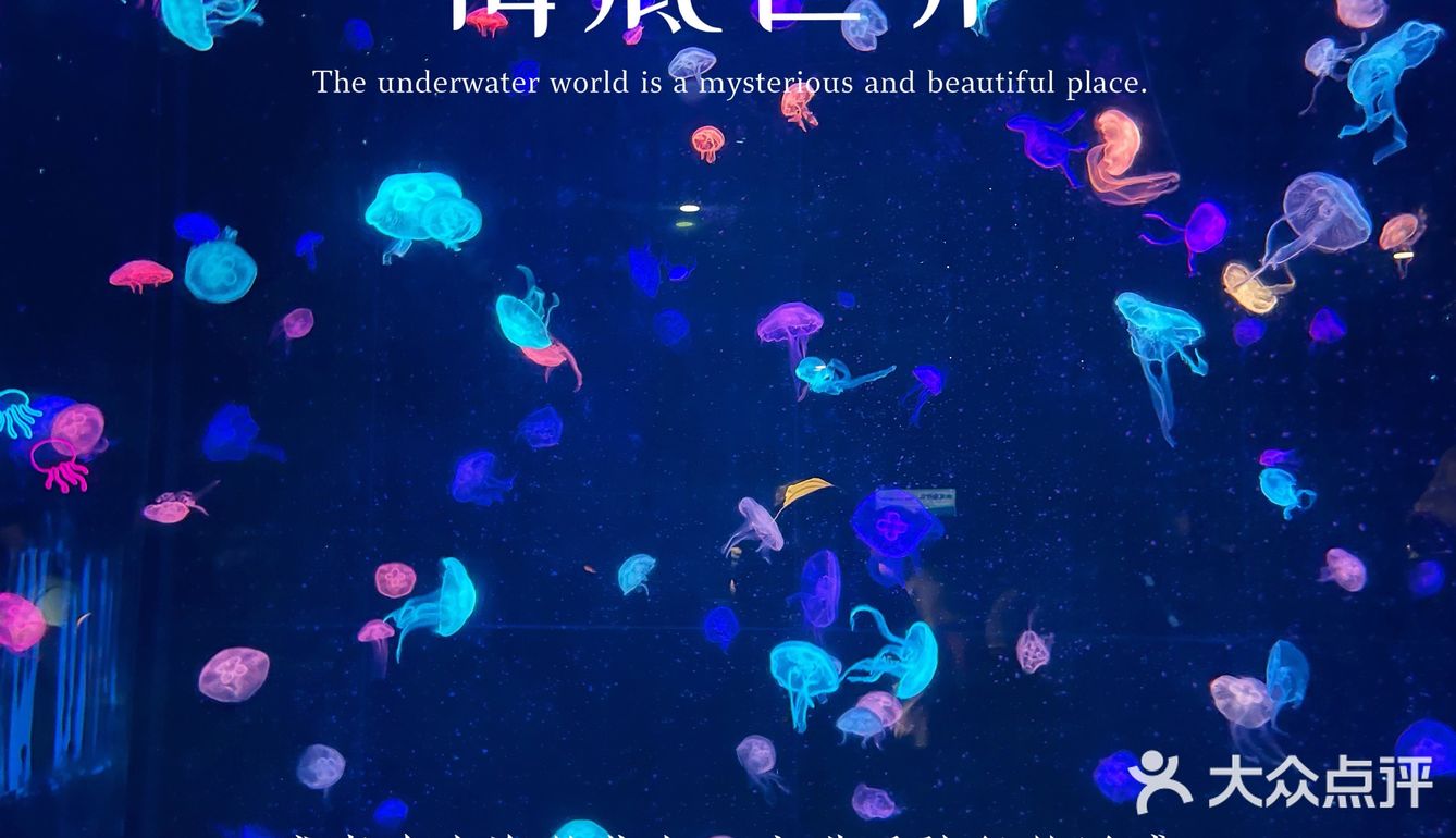 珠海长隆海洋王国超实用攻略❗️下篇