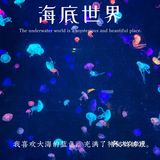 珠海长隆海洋王国超实用攻略❗️下篇