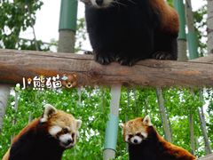 -北京野生动物园