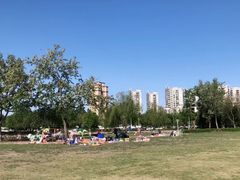 -泰丰公园